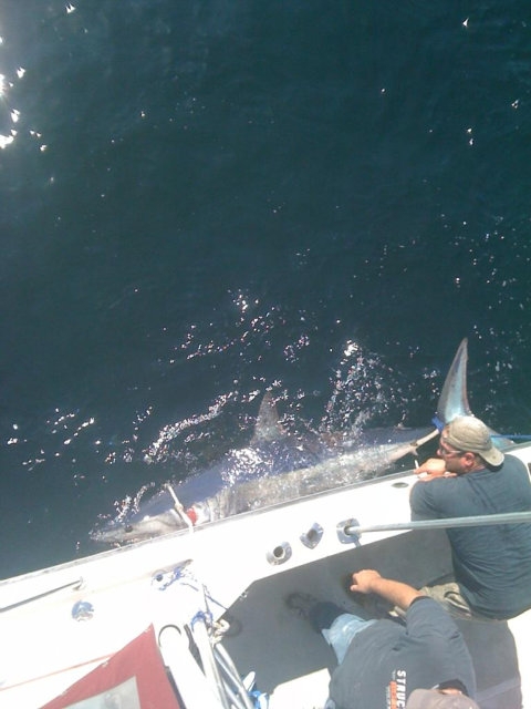 mako next to boat